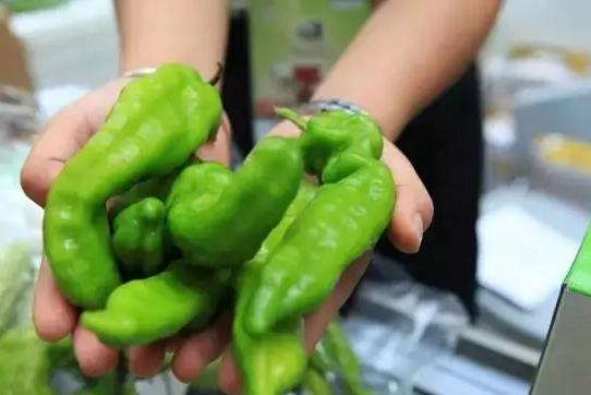 雙十一狂歡下，有機農產品能否依然“好酒不怕巷子深”？