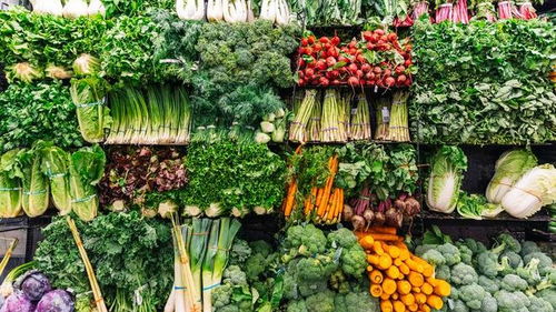 有機與非有機農產品 差異與真相揭秘