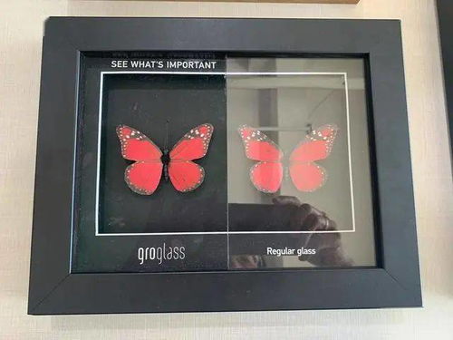 特想文化集團(tuán)‘雪峰印象’系列化妝品獲業(yè)界廣泛關(guān)注及青睞